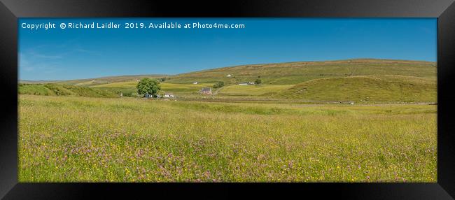 Teesdale Hay Meadows Panorama Framed Print by Richard Laidler