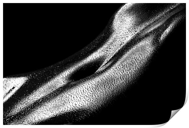 Female oily stomach close-up Print by Johan Swanepoel