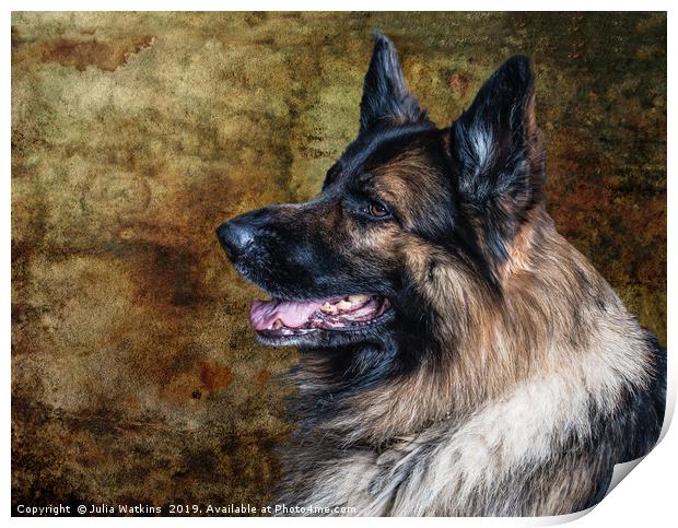 Alsatian Portrait Print by Julia Watkins