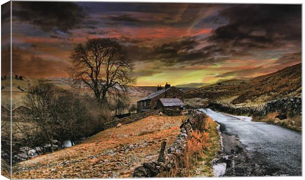 The Dales uk Canvas Print by Irene Burdell