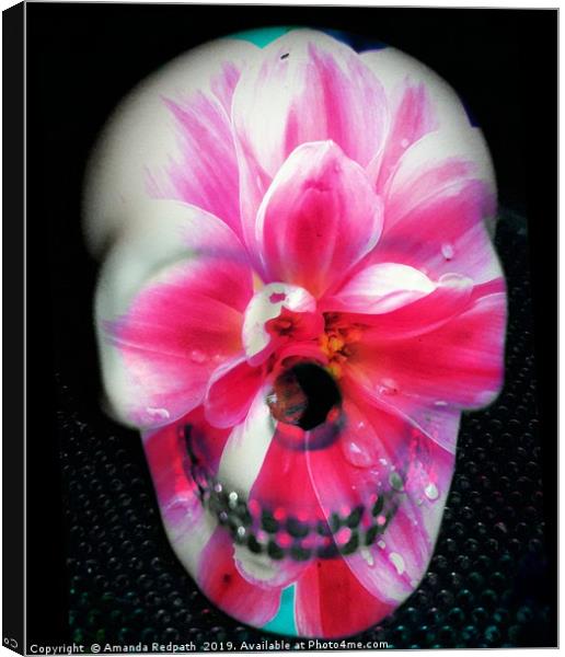  Pink Flora skull Canvas Print by Amanda Redpath