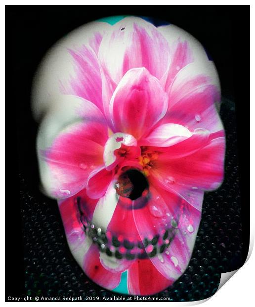  Pink Flora skull Print by Amanda Redpath