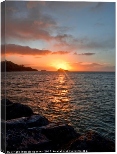 Sunrise at Meadfoot Beach in Torquay Canvas Print by Rosie Spooner