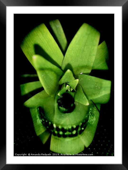 Variegated Yucca Leafy skull Framed Mounted Print by Amanda Redpath