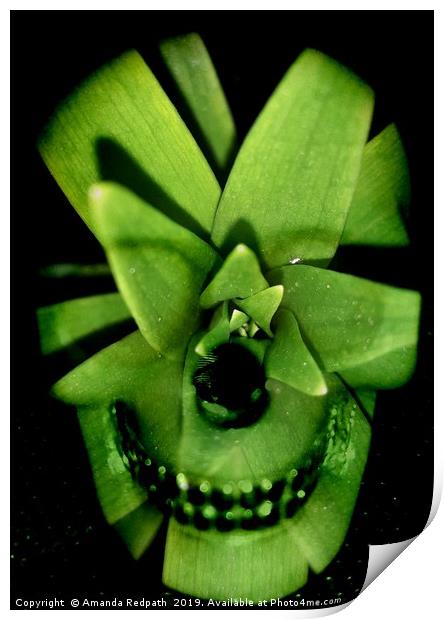 Variegated Yucca Leafy skull Print by Amanda Redpath