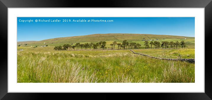 Harwood, Upper Teesdale, Panorama (3) Framed Mounted Print by Richard Laidler