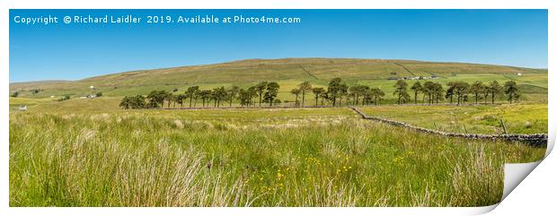 Harwood, Upper Teesdale, Panorama (3) Print by Richard Laidler