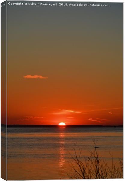 Vertical sunset, red Canvas Print by Sylvain Beauregard