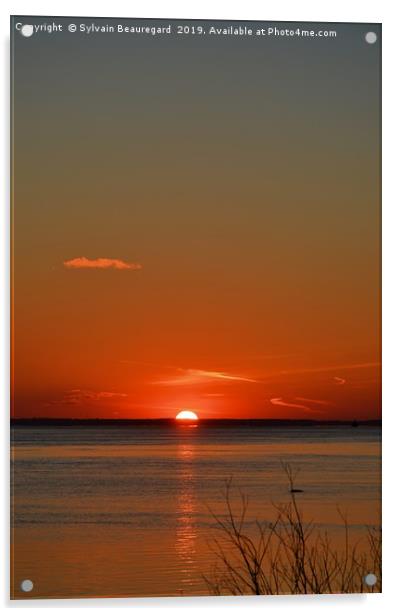 Vertical sunset, red Acrylic by Sylvain Beauregard