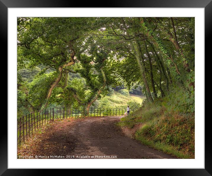 Primrose Lane Country Walk Framed Mounted Print by Monica McMahon