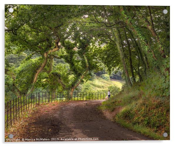 Primrose Lane Country Walk Acrylic by Monica McMahon
