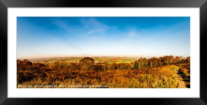 Surprise View Framed Mounted Print by Colin Metcalf