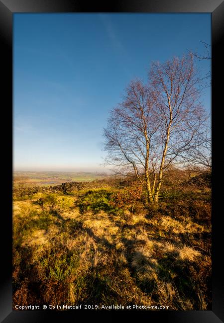 Surprise View Framed Print by Colin Metcalf