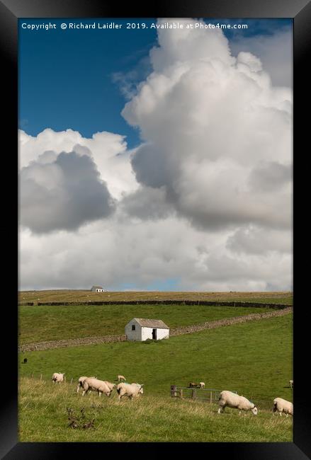 Big Sky and Bowlees Barns Framed Print by Richard Laidler