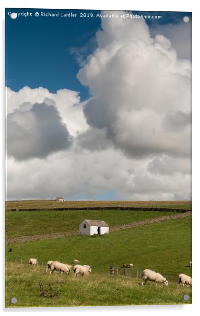 Big Sky and Bowlees Barns Acrylic by Richard Laidler
