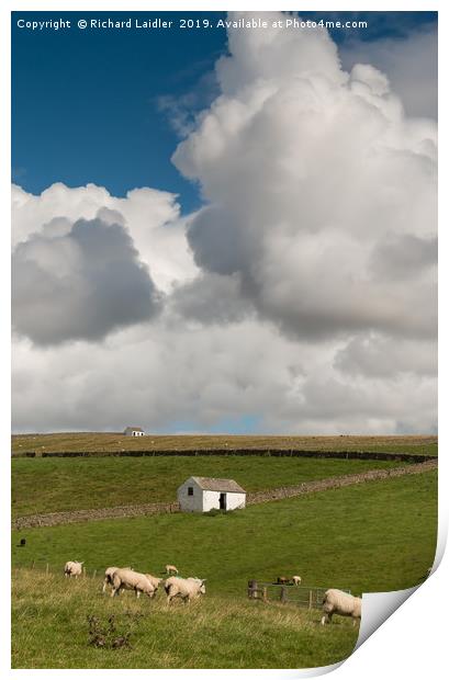 Big Sky and Bowlees Barns Print by Richard Laidler
