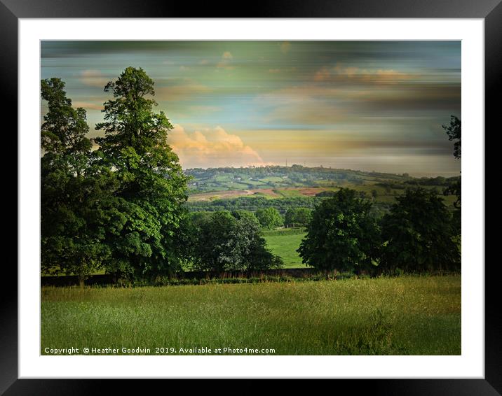 Summer Grasses Framed Mounted Print by Heather Goodwin