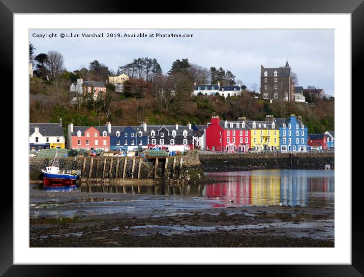 Tobermoray waterfront.  Framed Mounted Print by Lilian Marshall