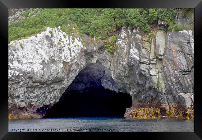 The Snares Sea Cave Framed Print by Carole-Anne Fooks
