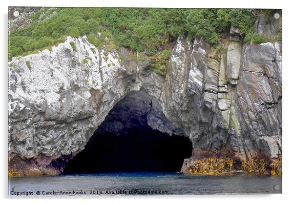 The Snares Sea Cave Acrylic by Carole-Anne Fooks