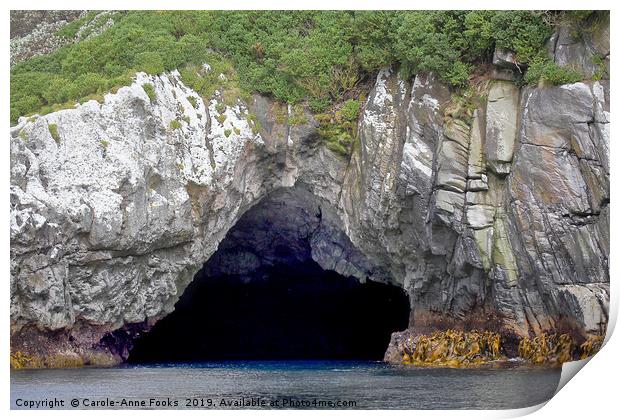 The Snares Sea Cave Print by Carole-Anne Fooks