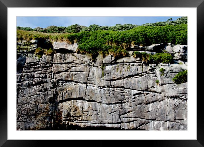 The Snares Sea Cliffs Framed Mounted Print by Carole-Anne Fooks