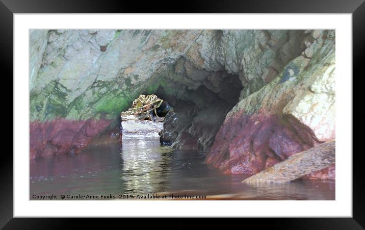 The Snares Sea Arch Framed Mounted Print by Carole-Anne Fooks