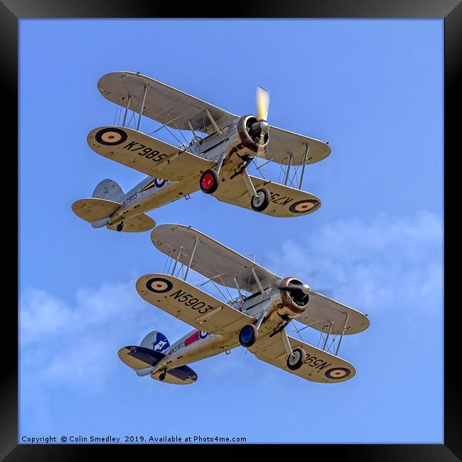 A pair of Gloster Gladiators Framed Print by Colin Smedley