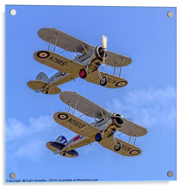 A pair of Gloster Gladiators Acrylic by Colin Smedley