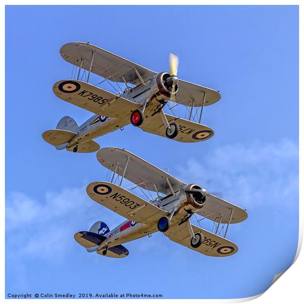 A pair of Gloster Gladiators Print by Colin Smedley