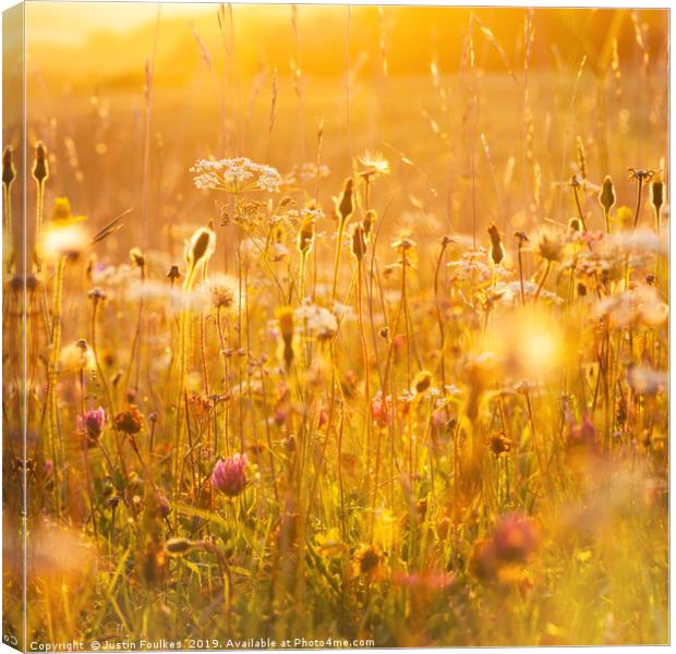Wildflower meadow Canvas Print by Justin Foulkes