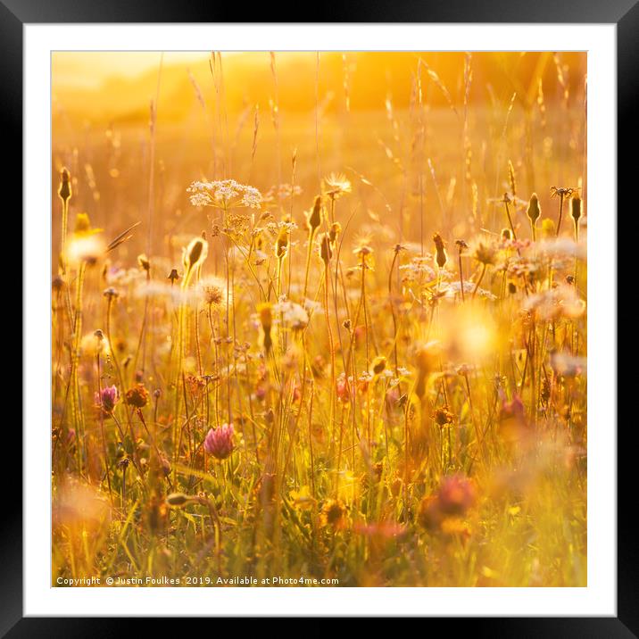 Wildflower meadow Framed Mounted Print by Justin Foulkes