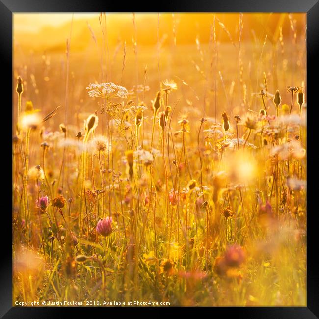Wildflower meadow Framed Print by Justin Foulkes