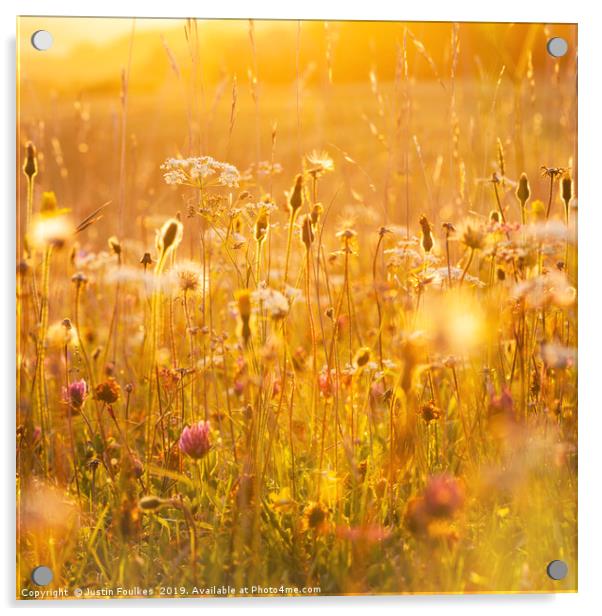Wildflower meadow Acrylic by Justin Foulkes