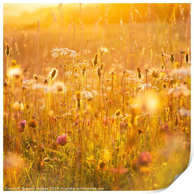 Wildflower meadow Print by Justin Foulkes