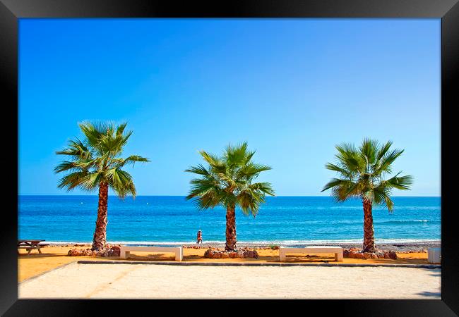 Palm trees Torrox Costa Del Sol Spain Framed Print by Andy Evans Photos