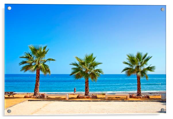 Palm trees Torrox Costa Del Sol Spain Acrylic by Andy Evans Photos