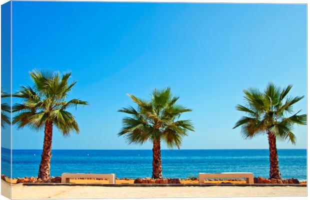 Palm trees Torrox Costa Del Sol Spain Canvas Print by Andy Evans Photos