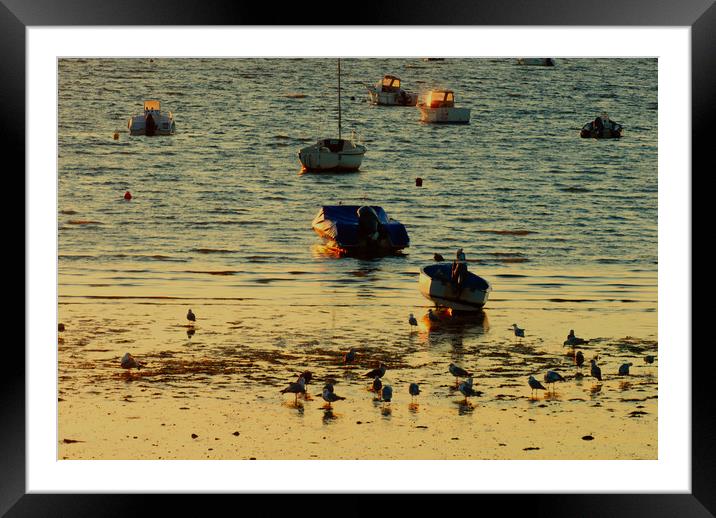 Boats parked on water in the morning sun Framed Mounted Print by youri Mahieu