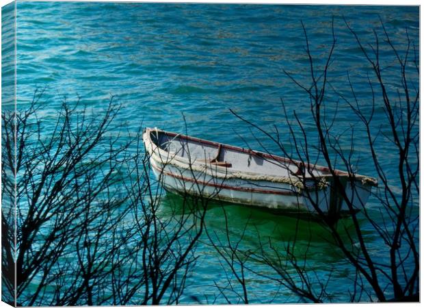 Drifting Away Canvas Print by Beryl Curran