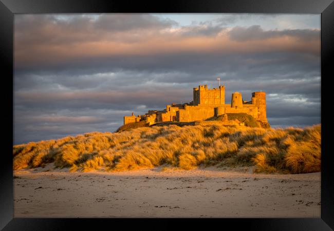 The coolest Castle in the country Framed Print by Naylor's Photography
