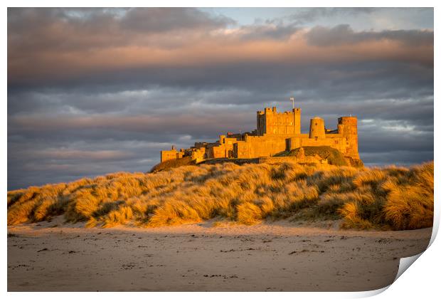 The coolest Castle in the country Print by Naylor's Photography