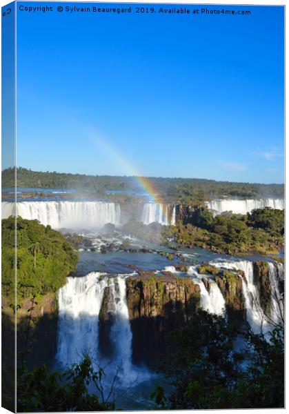 Iguazu Falls, vertical Canvas Print by Sylvain Beauregard