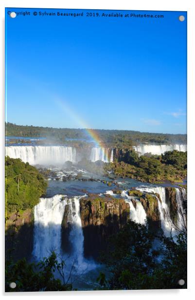 Iguazu Falls, vertical Acrylic by Sylvain Beauregard