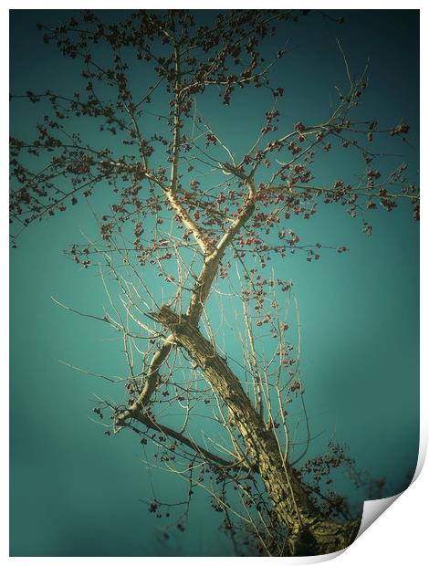 Tree on blue sky background Print by Larisa Siverina