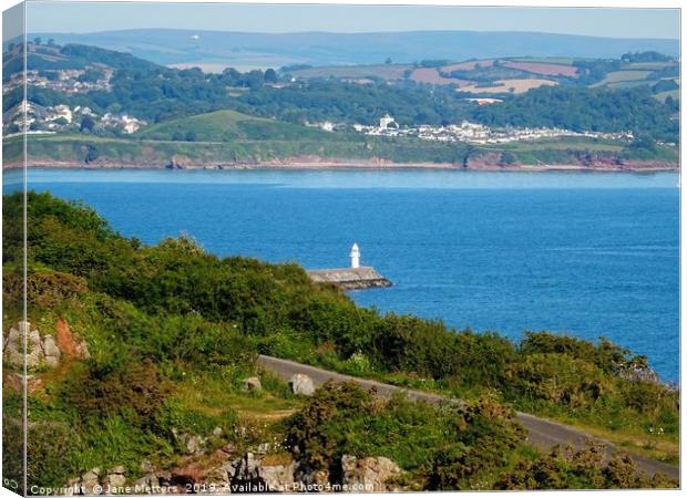 A Sea View Canvas Print by Jane Metters