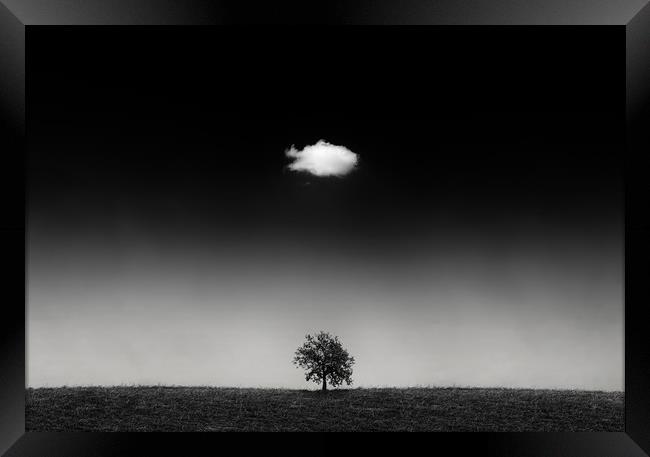One day a cloud meets a oak tree, so strong friend Framed Print by Guido Parmiggiani