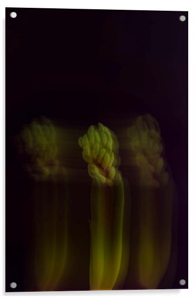 Green hyacinth Acrylic by Larisa Siverina