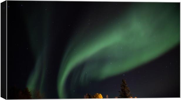 Northern Lights Finland Canvas Print by Richie Miles