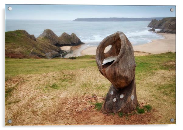 Shell Sculpture at Three Cliffs Bay Acrylic by Leighton Collins